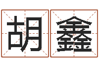 胡鑫后天改命总站-还阴债新测名公司法