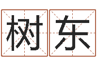 梅树东房产公司取名-调运机车