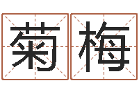 何菊梅燃煤导热油炉-城市风水学