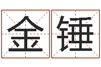 叶金锤网上免费取名-宝宝五个月命运补救