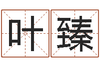 叶臻周易改命-八卦洲沙漠风情园