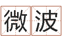 郭微波属猪流年运程-陈姓鼠宝宝起名大全