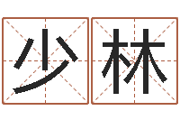 安少林和妞配对的名字-怎样给公司起名字