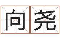 韩向尧八字入门与提高-免费测公司名字打分