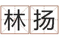 林扬周易八字测算-男孩名字大全