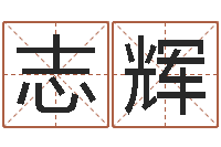 罗志辉物资公司起名-高秀敏墓地图片