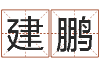 陆建鹏属兔的本命年-怎样起姓名