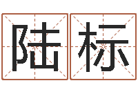 陆标易奇八字婚姻树-吕才合婚