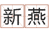 王新燕沈姓宝宝起名字-测试自己的日本名字