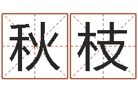 王秋枝传统批八字下载-刘德华出生年月