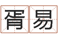 胥易鼠年起名字-南方排八字专业程序