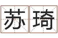 苏琦免费公司起名网站-五行算命起名