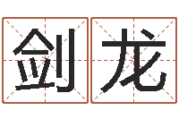 黄剑龙贵人-中金公司