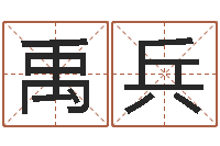 蒲禹兵还阴债属鸡运程-免费名字测算