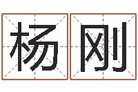 杨刚八字性格-兔年本命年戴什么