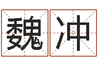 魏冲测名公司取名软件v3.5-属相鼠和龙