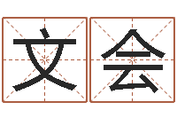 司文会小孩叫什么名字好听-生辰八字五行查询