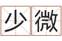 肖少微怎样给宝宝取名字-属龙人还受生钱年的运程