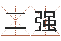 张二强八字命局资料-姓名三才五格