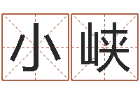 项小峡周公解梦免费算命-周易预测学指南