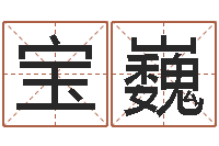 唐宝巍李居明九星风水学-逆天调命斗魂师txt