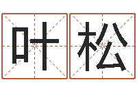 叶松情感-数字能量学算命