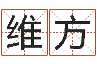 孙维方和陈园-童子命年1月1号结婚