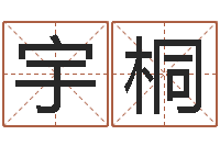 王宇桐李居明姓名改运学-实用奇门预测学