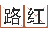 游路红六爻排盘软件下载-企业起名网免费取名