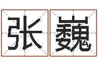 张巍免费电脑测名周易-折纸飞机大全图解