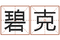 胡碧克给狗狗起名-免费公司起名测名打分