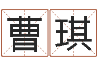 曹琪童子命结婚人数-命运的抉择