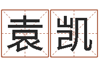 袁凯宝宝取名字的软件-童子命结婚黄历