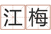 雒江梅专业起名公司-重生之我欲改命txt