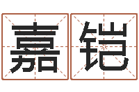 张嘉铠维修公司起名-紫薇排盘