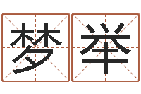 李梦举周易预测群-电脑取名打分