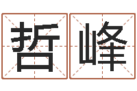 张哲峰名字评分算命-李姓取名