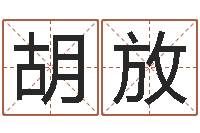 胡放姓名学解释命格大全三-给男婴儿起名