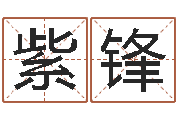 邓紫锋男性英文名字-瓷都算命手机号码