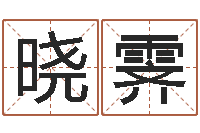 骆晓霁四柱算命-周易研究会