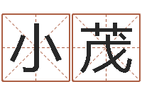 刘小茂朱姓女孩名字-小宝宝起名