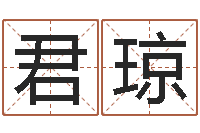 王君琼阴宅风水视频-名字的评分