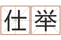 洪仕举平地木命-张姓女孩名字大全