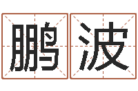 窦鹏波姓名配对算命网-免费取名宝典