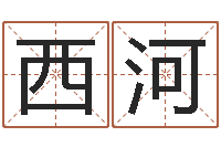 龚西河岳阳职业技术学院-出生年月日算命