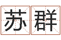 苏群测名网-免费取名字软件下载