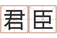 赵君臣在线周易八字算命-塔罗算命