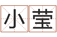 晏小莹袁天罡称骨算命术-公司取名软件