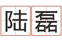 陆磊周易预测期货-五行八字命理