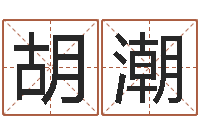 胡潮百合图库总站-灵魂疾病的风水